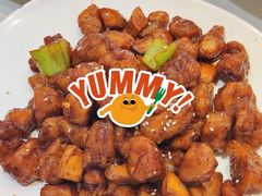 -正阳春烤鸭(华捷道店)