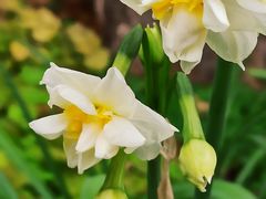 -共青国家森林公园-售票处