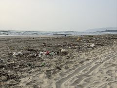 -广东惠东海龟国家级自然保护区