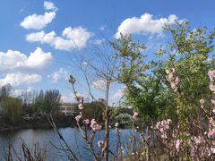 -长春公园(普阳街道)