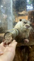 -Zoolung Zoolung动物主题公园(海信广场店)