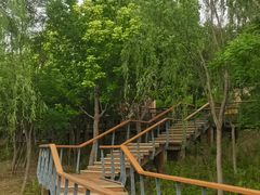 -东郊湿地公园