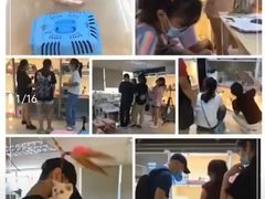 -lincat·猫舍(广州店)