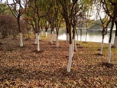 -白塘生态植物园