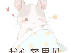 -胖哥俩肉蟹煲(爱琴海购物公园店)