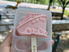 -武汉知音号