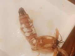 -船梆煮•蒸汽海鲜·生腌干蒸(五四广场店)