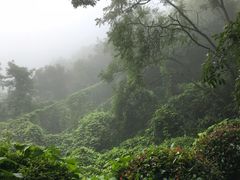 -南京市江宁方山