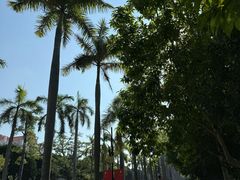 -厦门大学(思明校区)