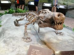 -自贡恐龙博物馆