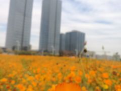 -映月湖中央公园