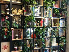 -ZING COFFEE 镜咖啡