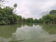 -西溪国家湿地公园