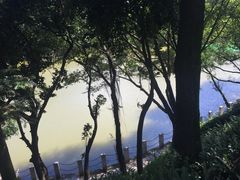 -西樵山风景名胜区-天湖公园