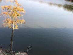 -南京枫彩漫城