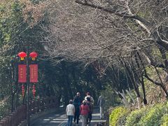 -杭州半山国家森林公园