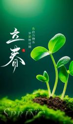 -雅曼妮spa美容养生