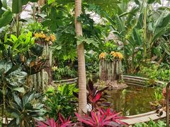 -北京植物园-展览温室