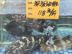 -大门水乡·顺德菜