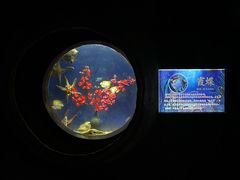 -合肥海洋世界