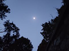 -香山公园