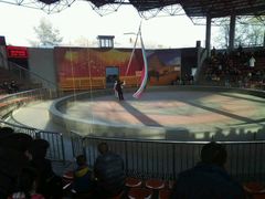 -石家庄市动物园