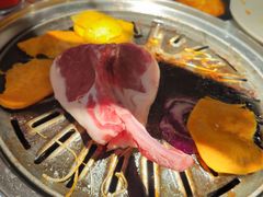 -九田家黑牛烤肉料理(新辰里亚运村店)
