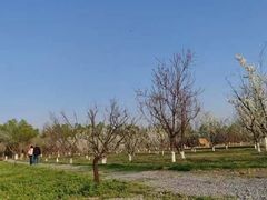 -汉长安城未央宫国家考古遗址公园