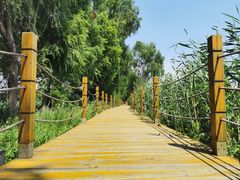 -白渔泡湿地公园