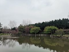 -嘉定紫藤园