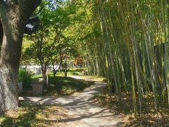 -交大留园(东川路店)