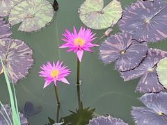 -国家植物园南园