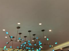 -百姓渔村(南中环店)