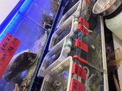 -鱼市酒店(威海水产批发市场店)