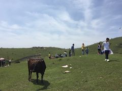 -大姆山草场