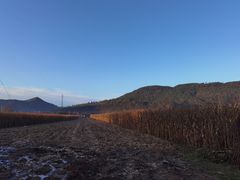 -丹东天桥沟景区