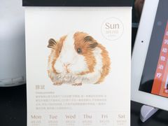 -雨林宠物医院 非犬猫异宠专科
