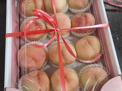 -南汇水蜜桃采摘(大团店)