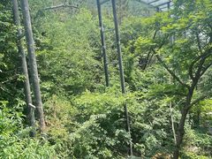 -潭溪山