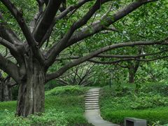 -红花山公园