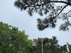 -普陀山风景名胜区-千步大沙