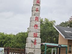 -中国扬子鳄村