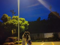 -铁山坪森林公园