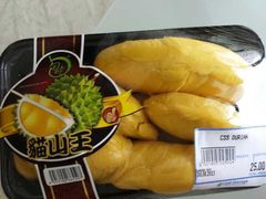 -新加坡飞禽公园