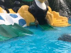 -热带风暴水上乐园