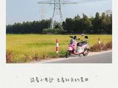 -崖口云吞(中堡店)