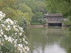 -无锡蠡湖国家湿地公园-蠡园