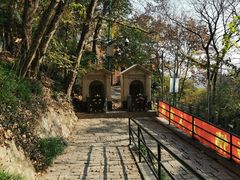 -上海佘山国家森林公园西佘山园