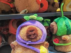 -酷乐潮玩(五道口购物中心店)