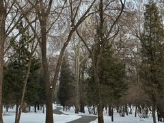 -森林公园(尖草坪区)